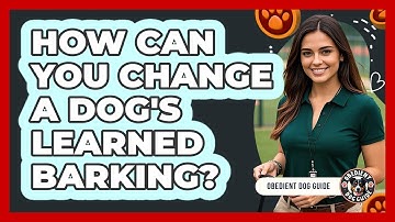 How Can You Change a Dog