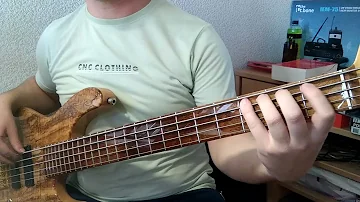 Aerosmith - Pink (bass cover)