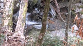 Hiking to Rainbow Falls in the Great Smoky Mountains