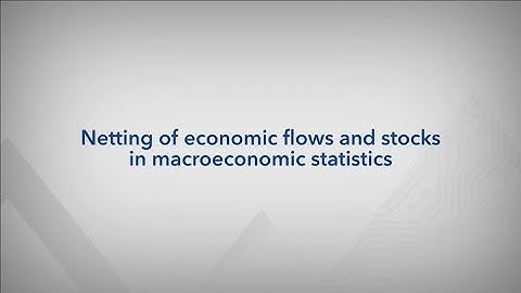 Netting of economic flows and stocks in macroeconomic statistics