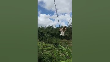 Bali swing over the rice fields