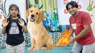 Don't put fire on Dog | comedy video | funny video | Prabhu Sarala lifestyle