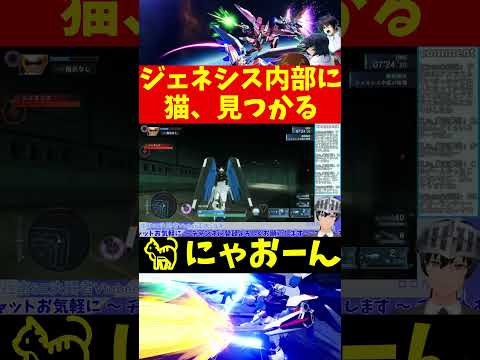 【機動戦士ガンダムSEED バトデス】ジェネシス内部に猫、見つかる #shorts 【VTuber切り抜き/江水ミユキ】