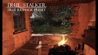 : TRUE STALKER Reshade Preset (Natural, Cinematic, Realistic) TRUE STALKER, TRUE RESHADE PRESET!