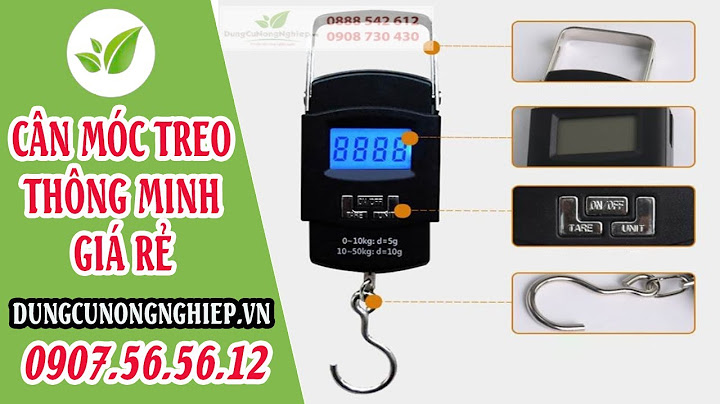 1 cây u treo nặng bao nhiêu kg năm 2024