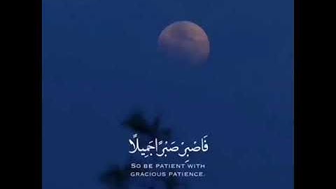 فَاصْبِرْ صَبْرًا جَمِيلًا (5) سورة المعارج