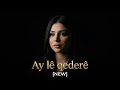 Ay Lê Qederê Stranaka Nû Kurdish Song 