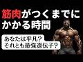 【最強遺伝子からステロイドまで】筋肉がつくまでにかかる時間は？