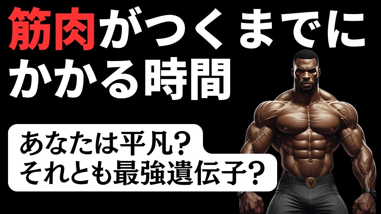 【最強遺伝子からステロイドまで】筋肉がつくまでにかかる時間は？