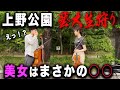 【藝大】東京藝大生を上野公園で待ち伏せしてセッションしたらまさかの展開に・・・