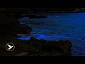 🌊 OCEAN WAVES FOR FOCUS &amp; DEEP WORK ▶ 11 HOURS CALM SEA SOUNDS FOR MENTAL CLARITY (NO MUSIC)