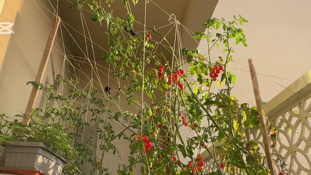 Dubai. My little friends! 