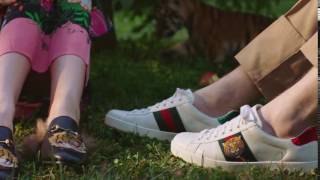 Gift Giving 2016: Gucci Ace Sneaker