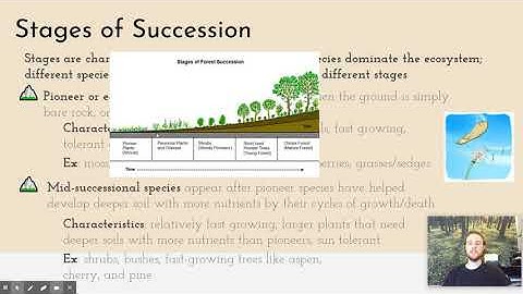 APES Notes 2.7 - Ecological Succession