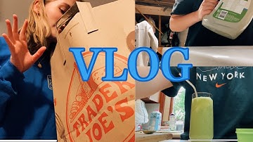 VLOG: HUGE Trader Joe