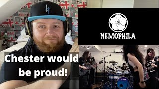 I love this cover! Metalhead reacts to NEMOPHILA | Given Up (Linkin Park) | Reaction Video