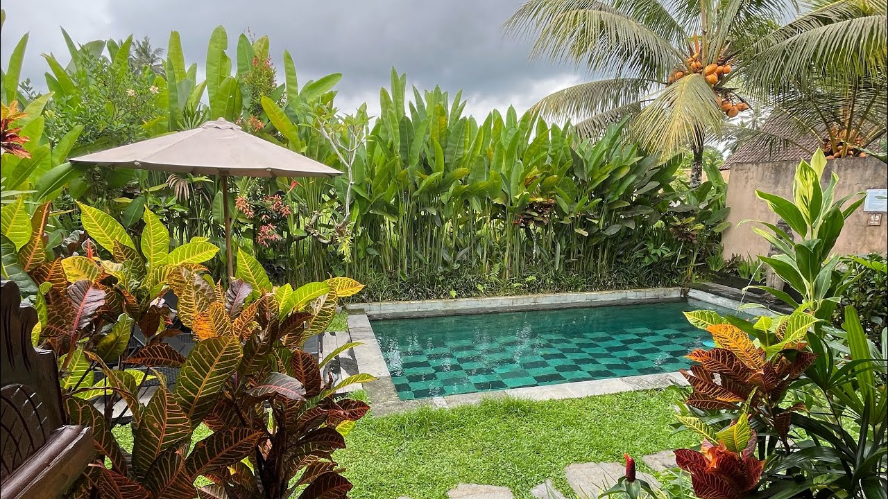 Bali/Ubud Day 1 vlog| Nov'25 | Santris Villa by Pramana | Kecak Dance | This is Bali | Kubas Gianyar