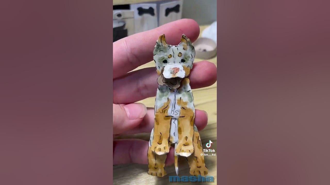 Идеи для бумажных собак из тик тока. Идеи для бумажных собак из тик тока