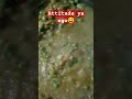 😄😄#funny #comedy #ytshorts #food #viralshort