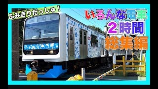 【いろんな電車と新幹線に特急たっぷり２時間！】ふみきり　総集編！はやぶさ　トーマス　西武線　京急　東武　山手線　japan railway crossing train  kereta 205　こまち