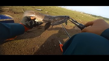 Ca loc hồ sông ray. Tuansongray #cauca #lure