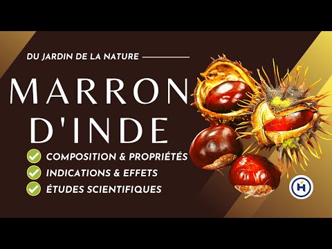 Vidéo: Marronnier d'Inde : propriétés médicinales, caractéristiques et contre-indications