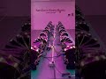 Rider 12r 🤟💝#djlight #djremix #song #trending #viralight #lightsetup #youtubeshorts #video