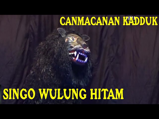 Canmacanan Kadduk Singo Hitam &Singo  Putih - Singo Wulung Bersaudara class=