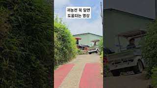 인기많은 친환경 리폼중고골프카트 #엔테크#농기계전문채널#농기계#농기계전문가#초소형전기차#배터리#친환경골프카트#중고골프카트#골프카트#어른이모빌리티#농촌전기차#어버이날선물#가정의달