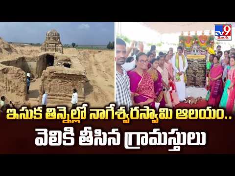 Ancient Nageswara Swamy Temple Found In Nellore - TV9 - TV9