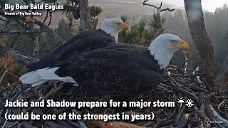 Big Bear🦅Jackie&Shadow Prepare For A Major Storm☔️❄️Could Be One Of The Strongest In Yrs 2022-11-07