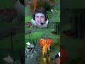 GOLD CHEST #crimsondesert #gaming
