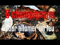 6 champignons pour allumer un feu - Stage de Bushcraft / Krav Maga 2020