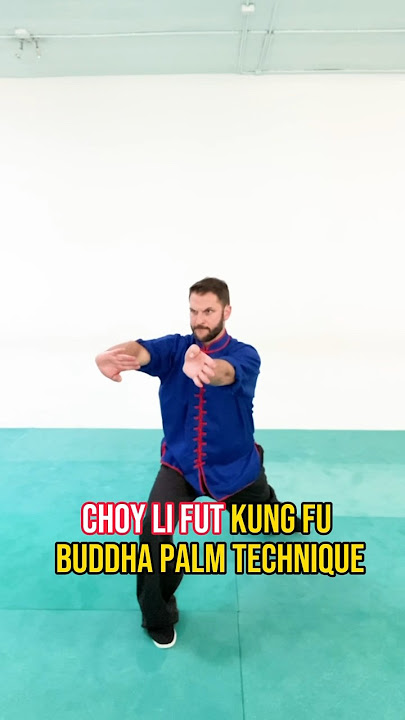 💥Choy Li Fut💥 Buddha Palm ✋ Technique 🙏 #kungfu #choylifut #martialarts #buddhapalm #futjeung