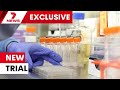 New Sydney trial drug cures lymphoma patients with instant immunotherapy technology | 7NEWS