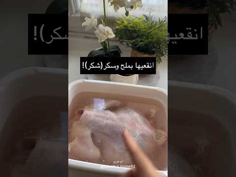 لدجاج بدون زفر انقعيها بملح وشكر محلول براين