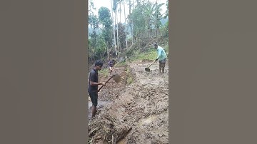 Paddy Field Preparation #shorts #shortvideo #satisfying #paddy #agriculture #farming
