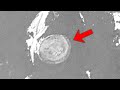 Antarctica Mysteries and Discoveries Quiz