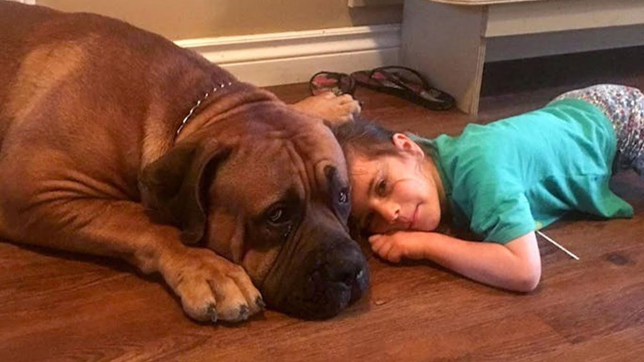 When Your Dog Is The Most Patient Big Friend In The House ❤️