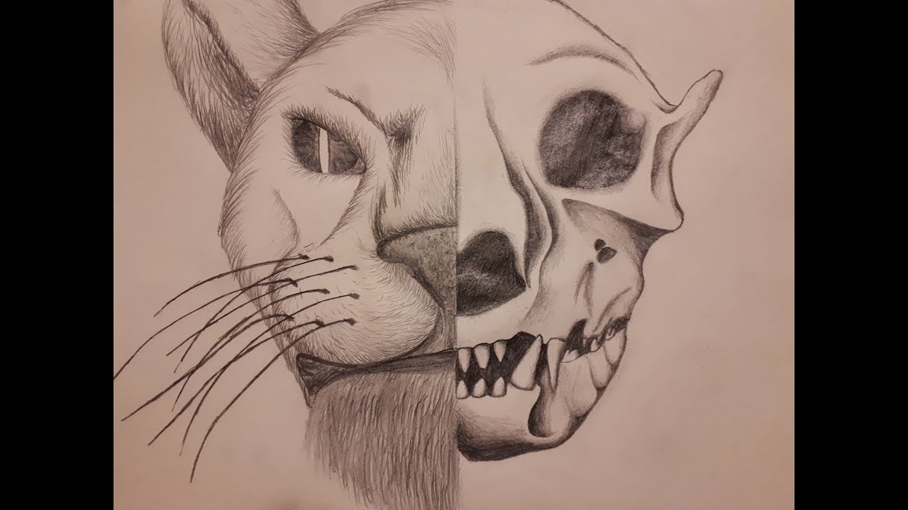 Drunkbones 🍺 Critical Damage Stamina Necromancer PvP Build ESO - Elsweyr