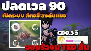 [ROOC]  ปลดเวล 90 ปลดขนนก ระบบสัตว์ขี่ PVP ดาเมจเบิ้มๆ ทำ Grim 0.3วิ รัวจน TED สั่น