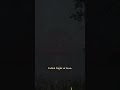 Would you survive the night?