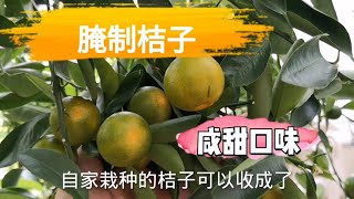 Preserved calamansi limes 腌制桔子咸甜口味 