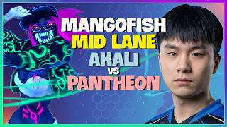 MangoFish Akali : This Rank 1 Fizz is DEVASTATING Diamond Elo with INSANE Mechanics - Engsub