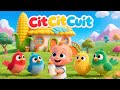 CIT CIT CUIT | TEK KOTEK | 5 BEBEK KECIL BERMAIN | SUARA HEWAN | Toll Kids