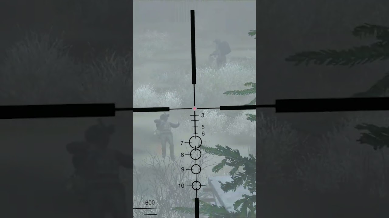 2 Fully Geared DayZ Players