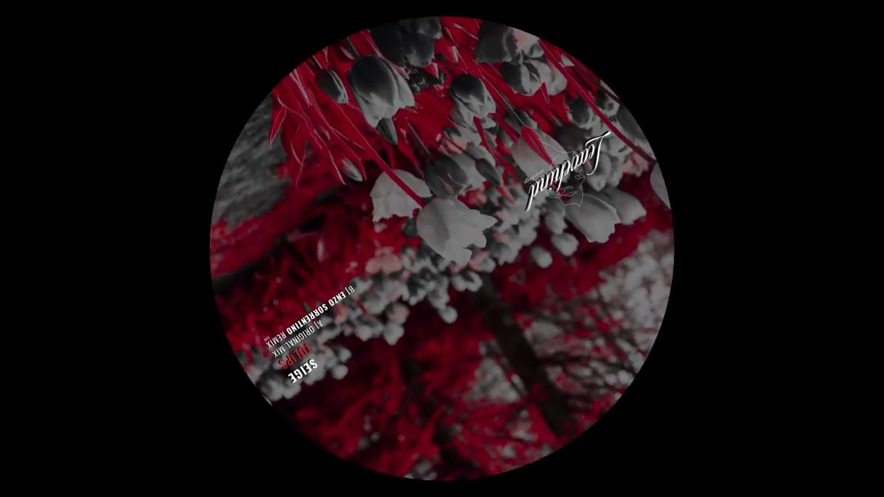 Watch Seige - Tulips (Original Mix) on YouTube Watch Seige - Tulips (Original Mix) on YouTube