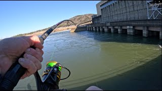 Fishing Below Guntersville Dam (Pulling Over 35,000gps)