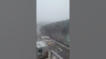 Thumbnail of Winter Dream #Stella Jang #To 🎅.. 내 꿈이 어딨는지 생각나게 해 주세요~#끝 눈..