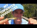 My Favourite Topwater Lures That Catch Everything